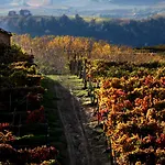 Castiglione Langhe 3*