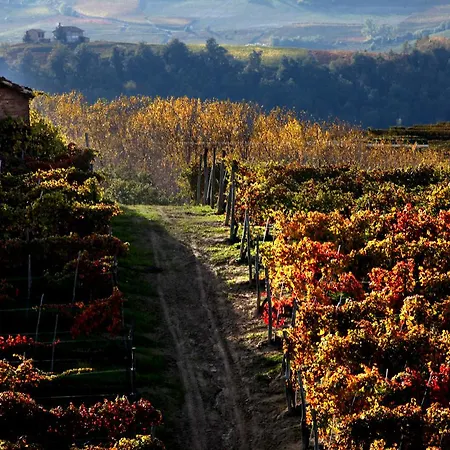 Castiglione Langhe 3*