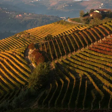 Castiglione Langhe Hotel 3*