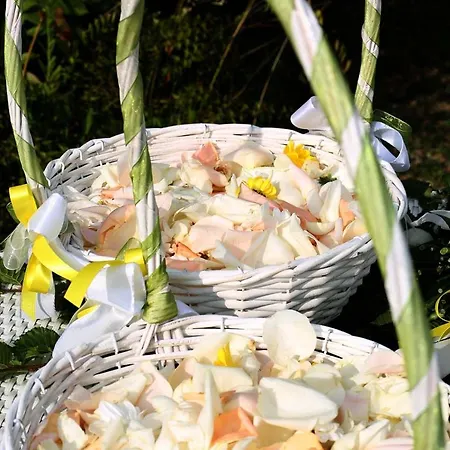 Hotel Castiglione Langhe Castiglione Tinella